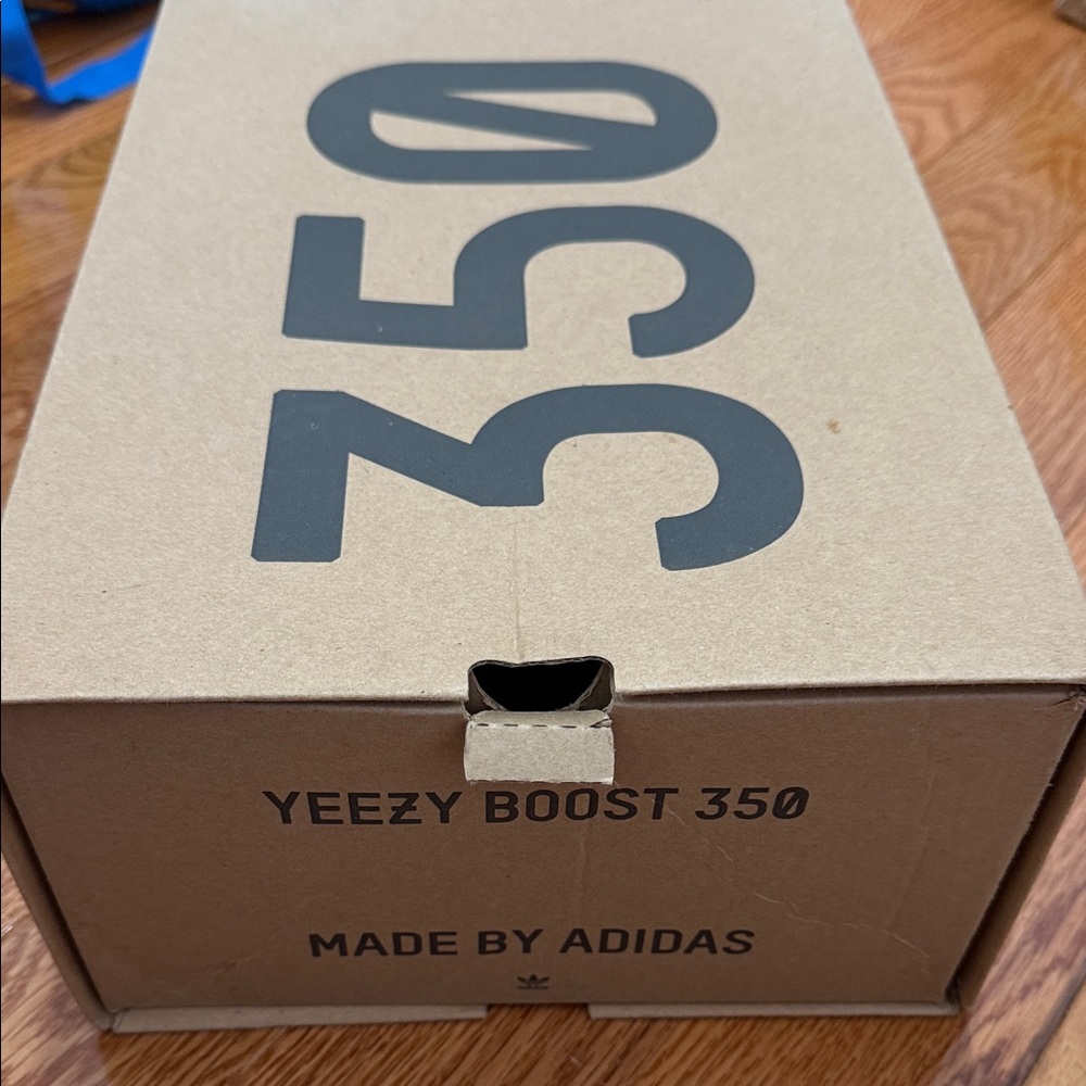 Adidas Yeezy Boost 350